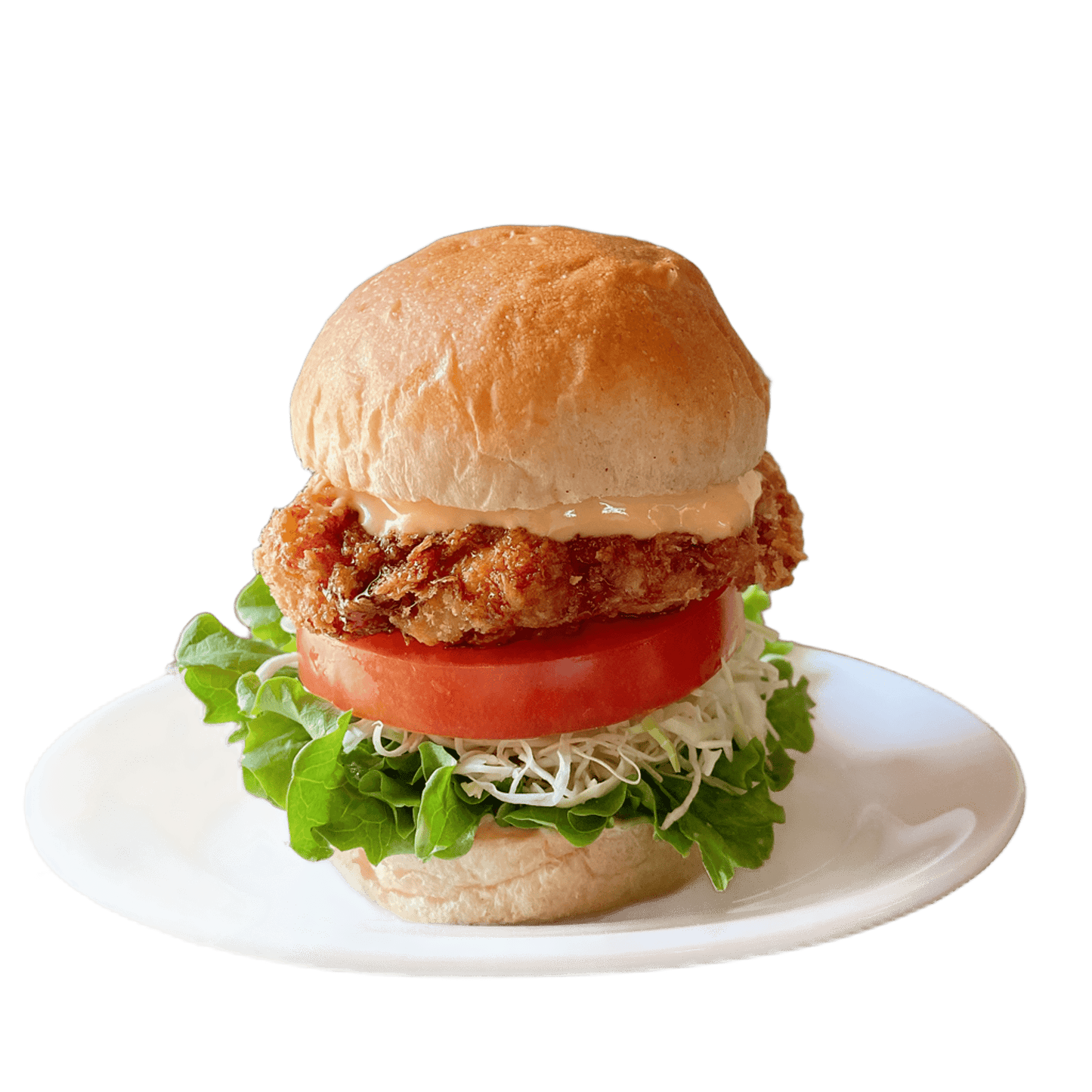 冷凍かるカツ Lサイズ|万博バーガーにも使われた主役級プラントベースカツ